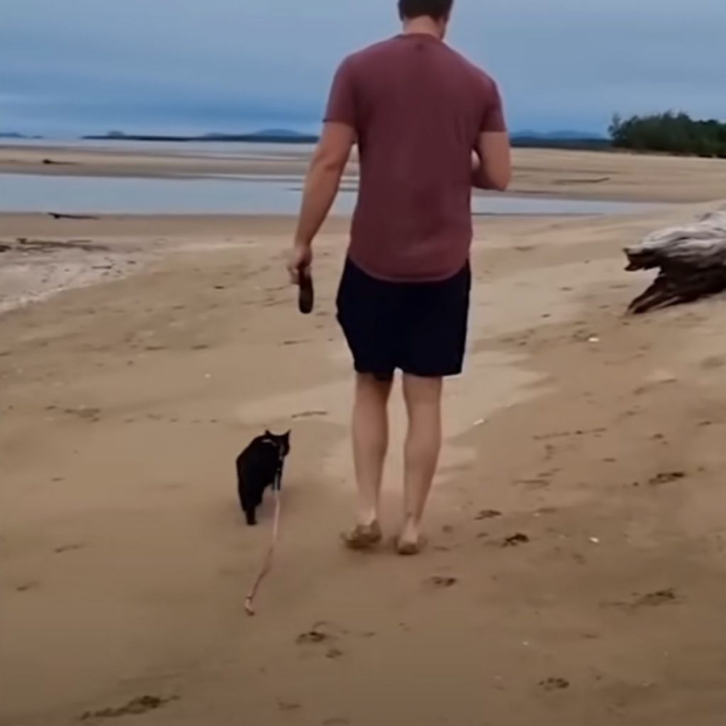 a man on the beach with a black cat