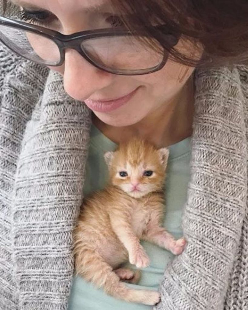 a yellow kitten lies on a woman's chest