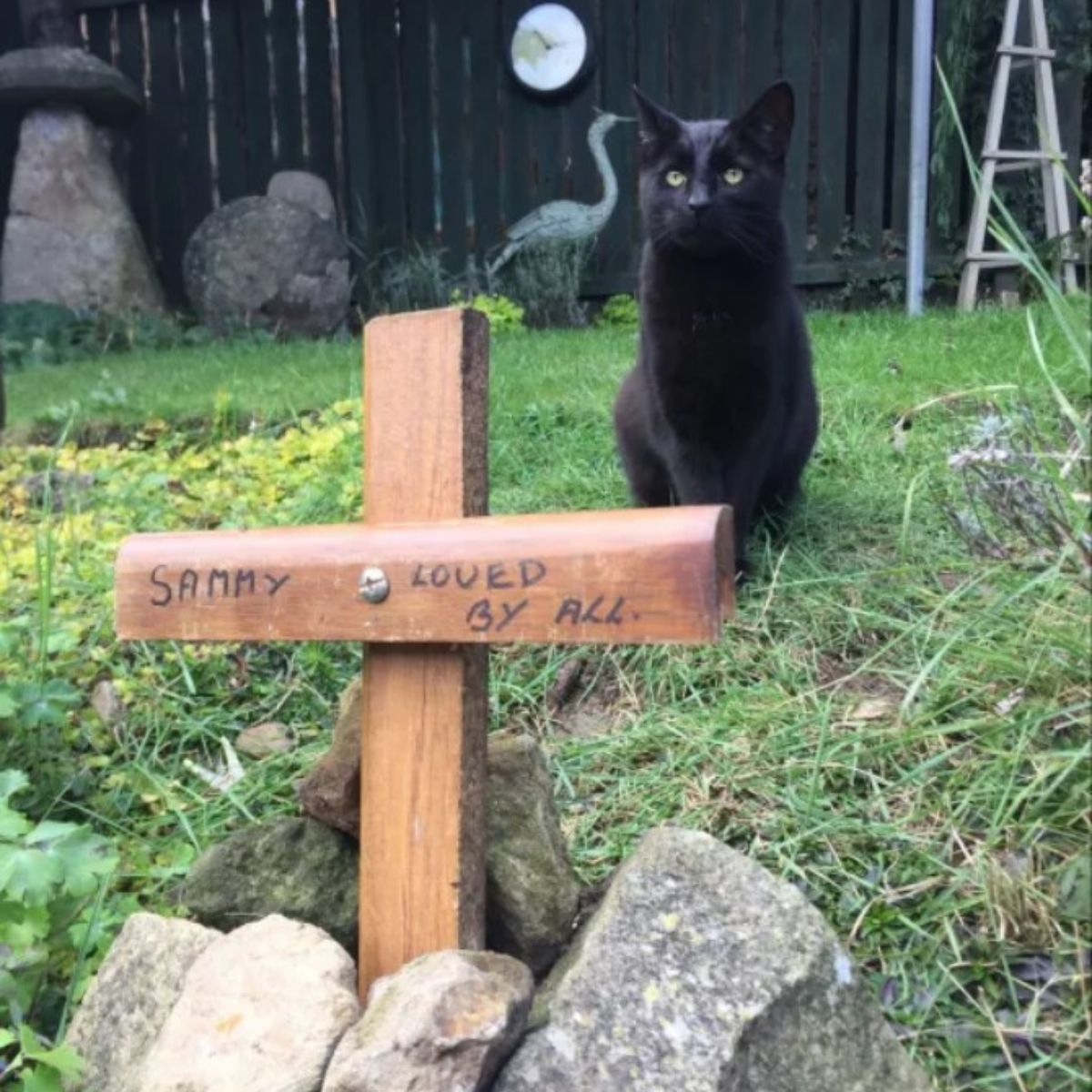 black cat standing above the grave cross