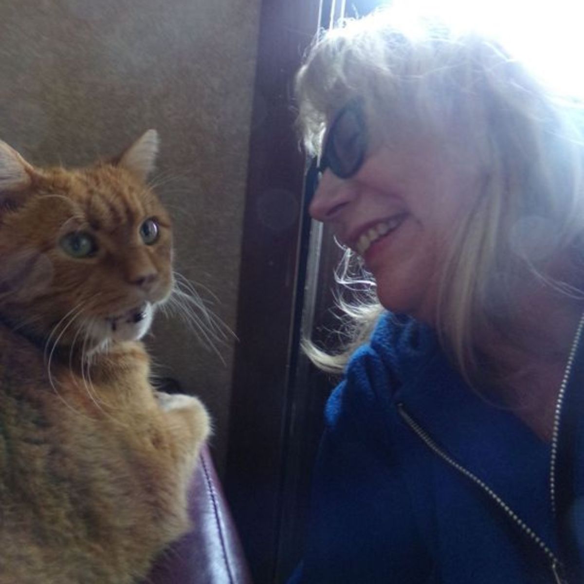 blonde woman and ginger cat