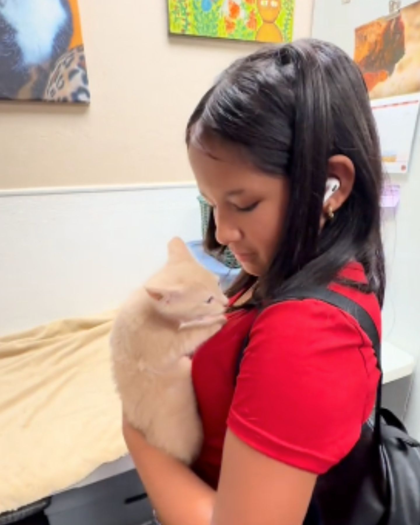 little girl holding kitten