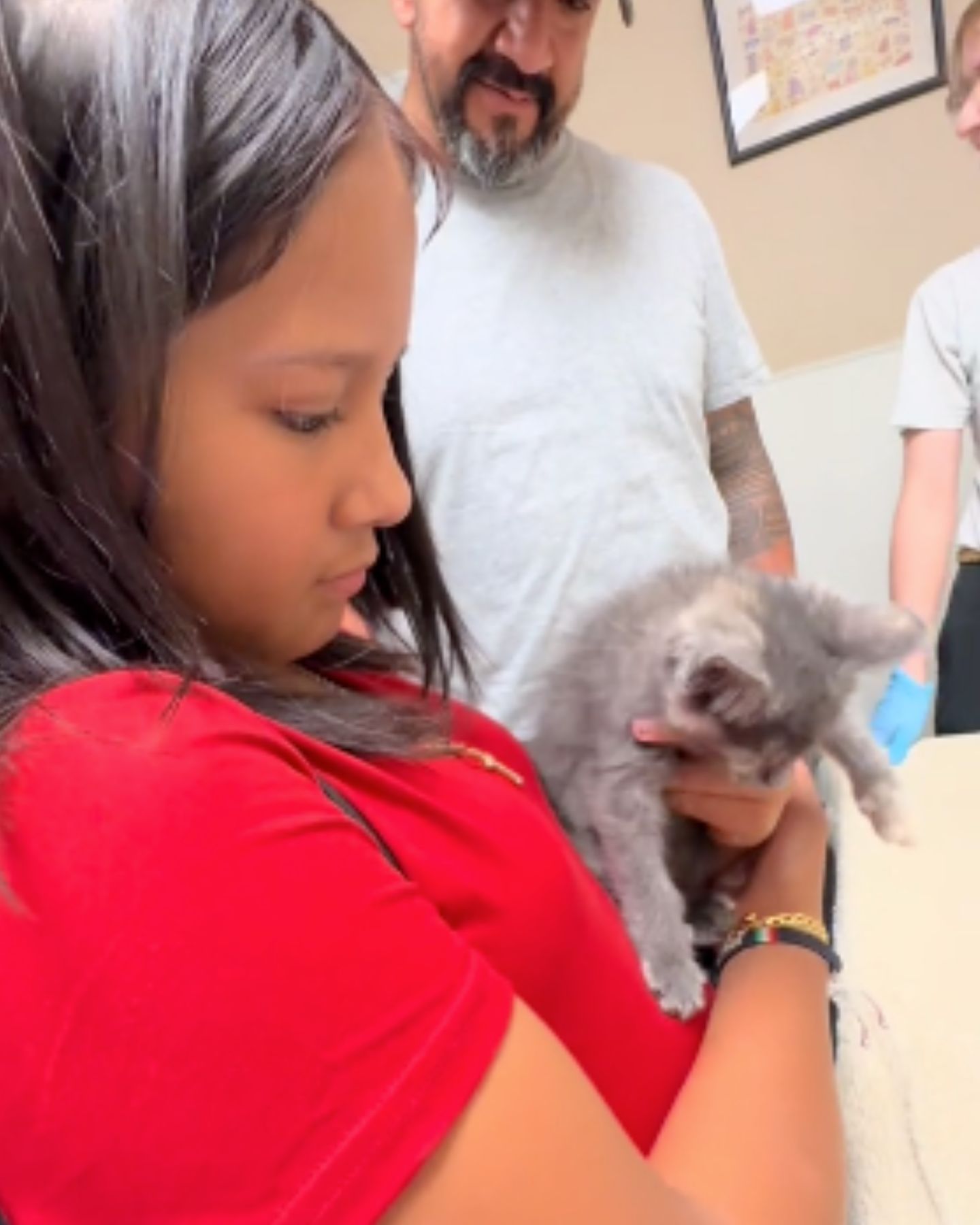 little girl in a shelter with dad looking cats