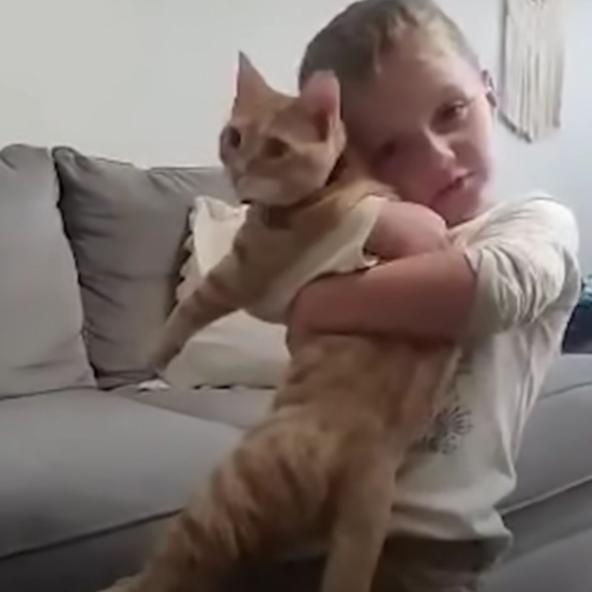 little kid and cat