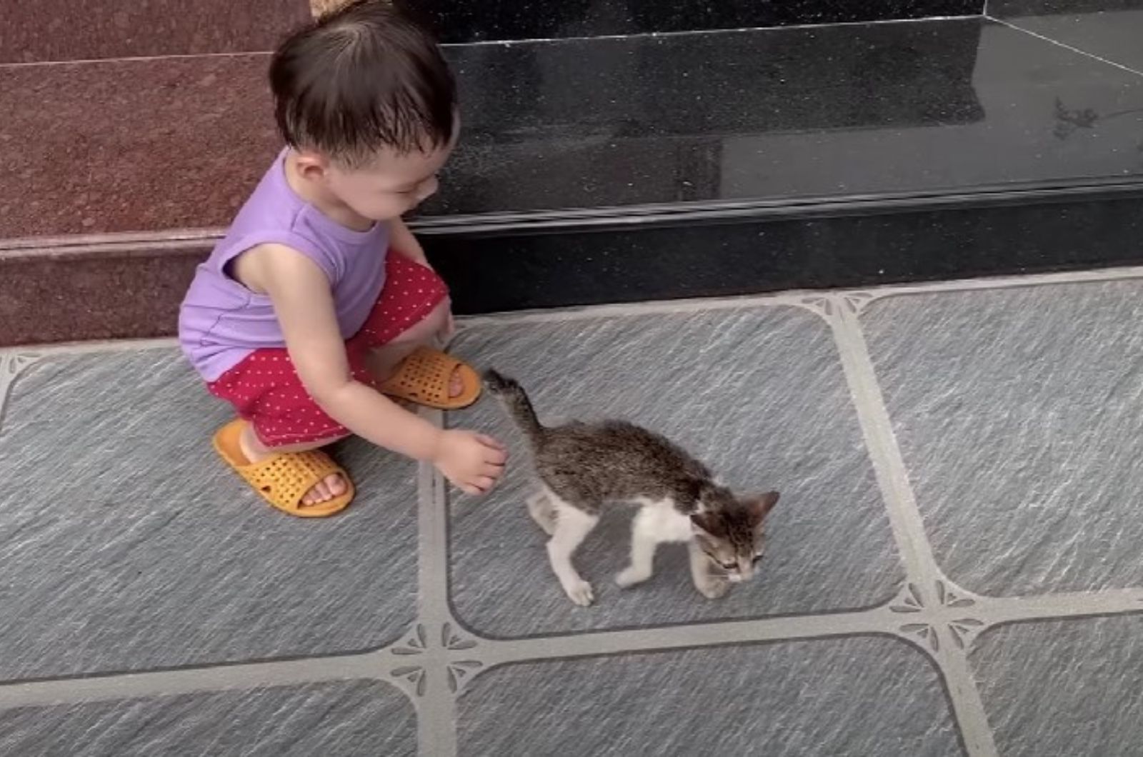 little kid and kitten