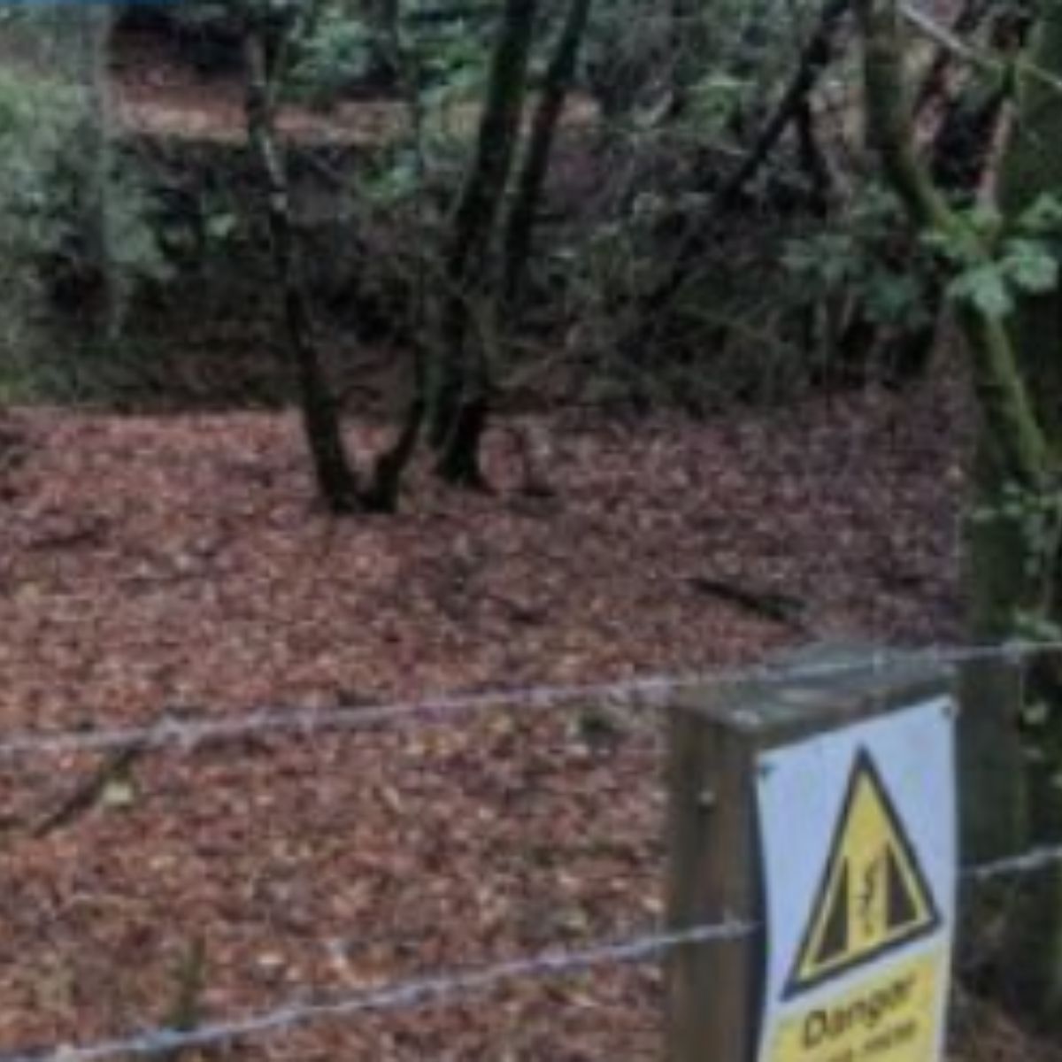 photo of restricted area in the woods