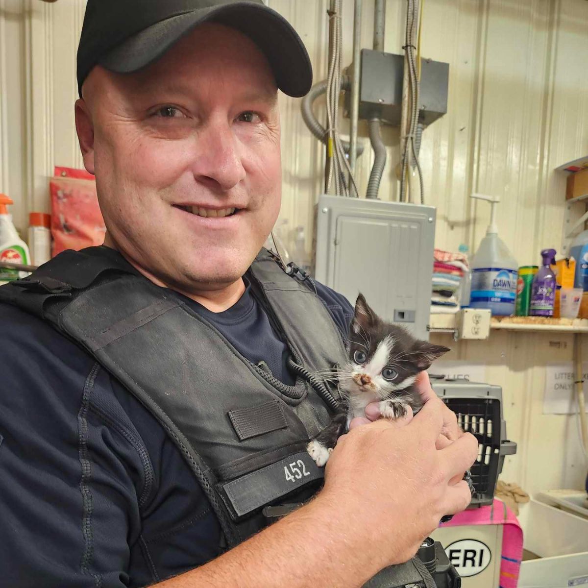 police officer and kitten