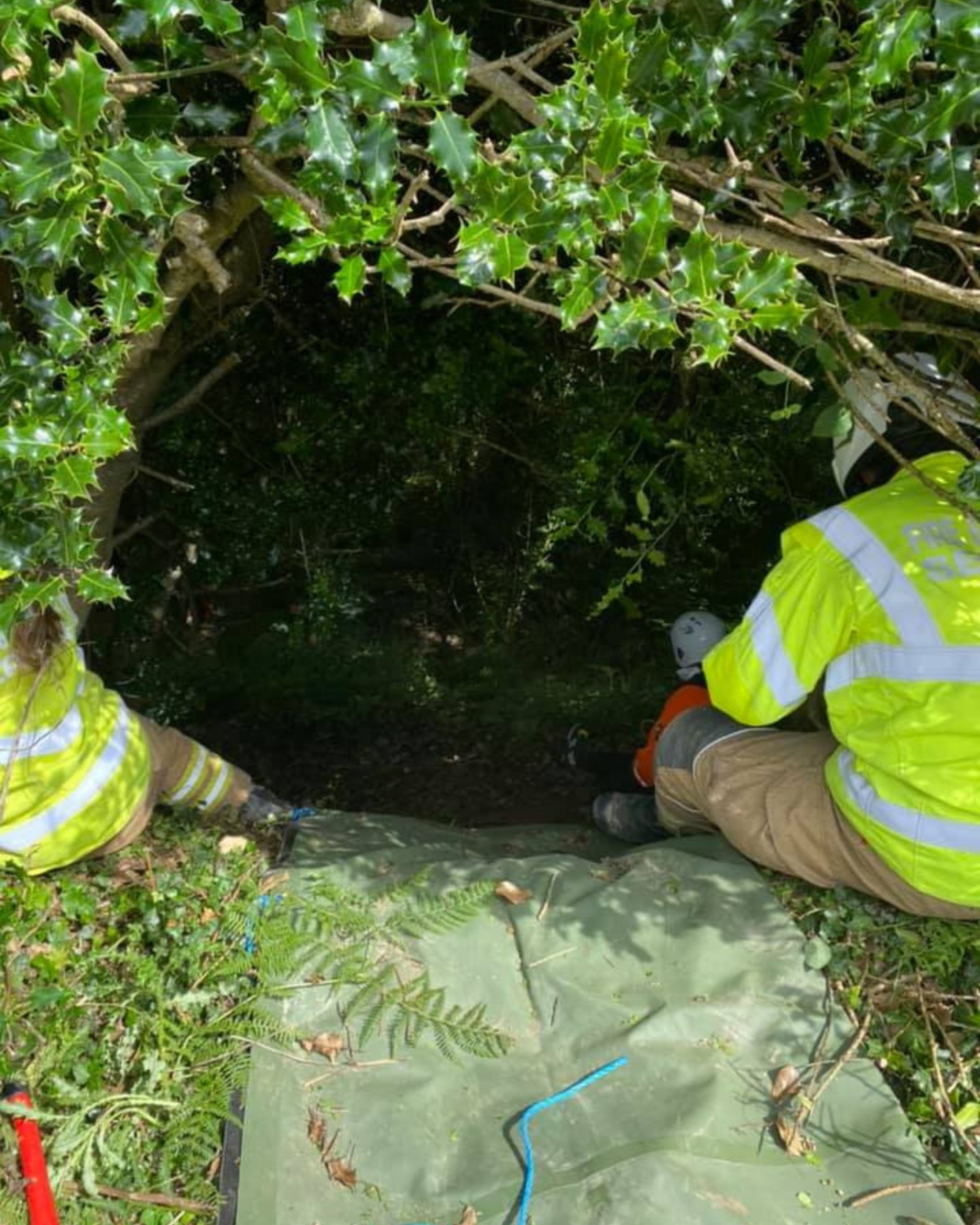 rescuers helping a man in the wood