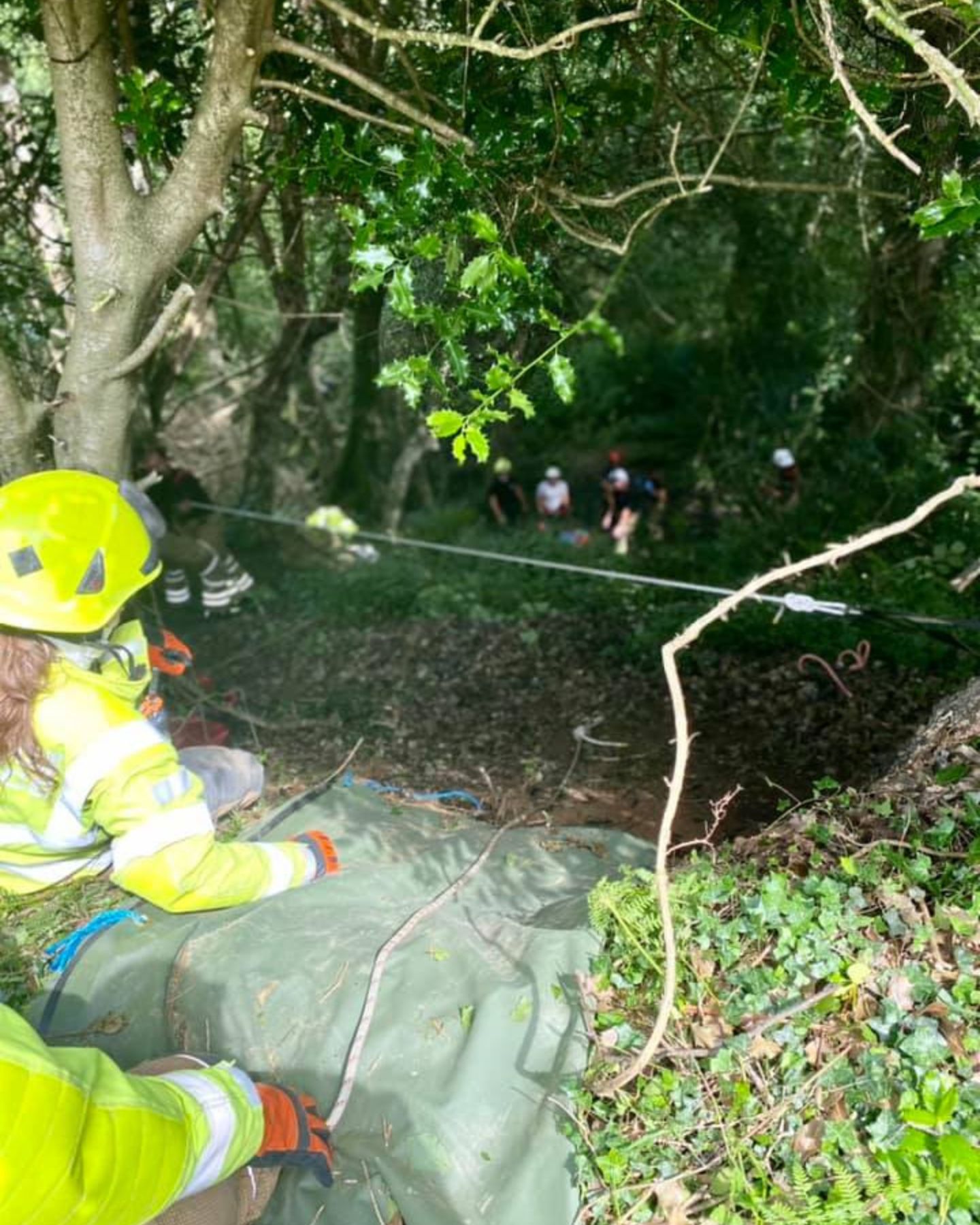 rescuers in the wood