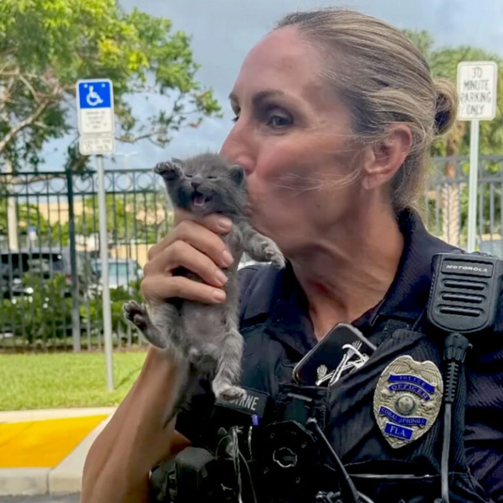 the detective is holding a kitten in her hand and kissing it