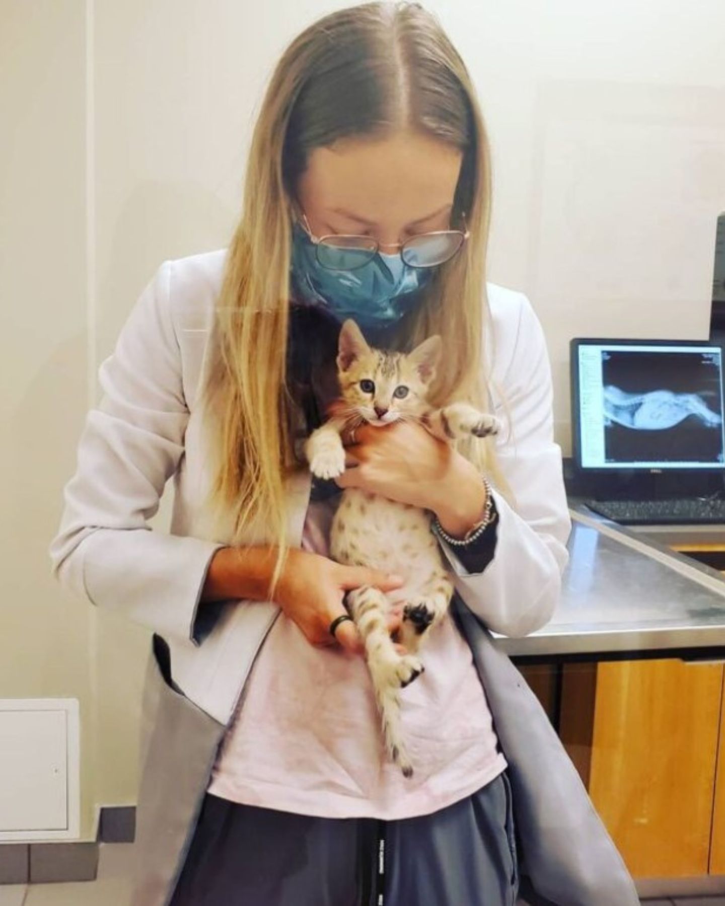 vet and cute kitten