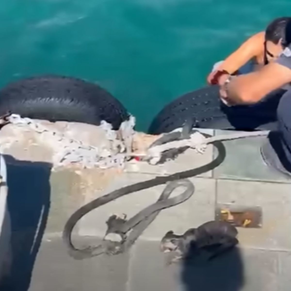 woman getting out from sea