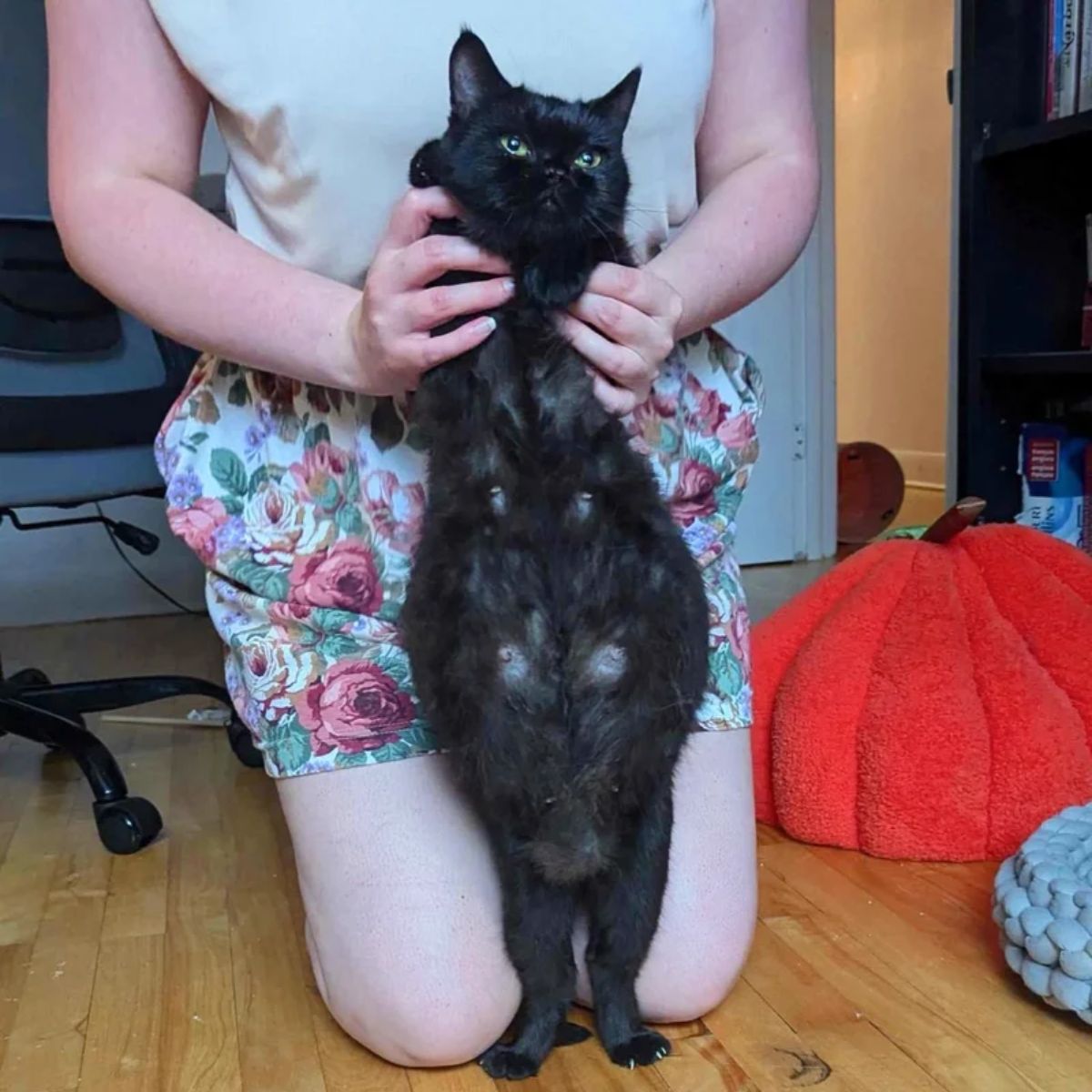 woman holding cat who stands on two legs