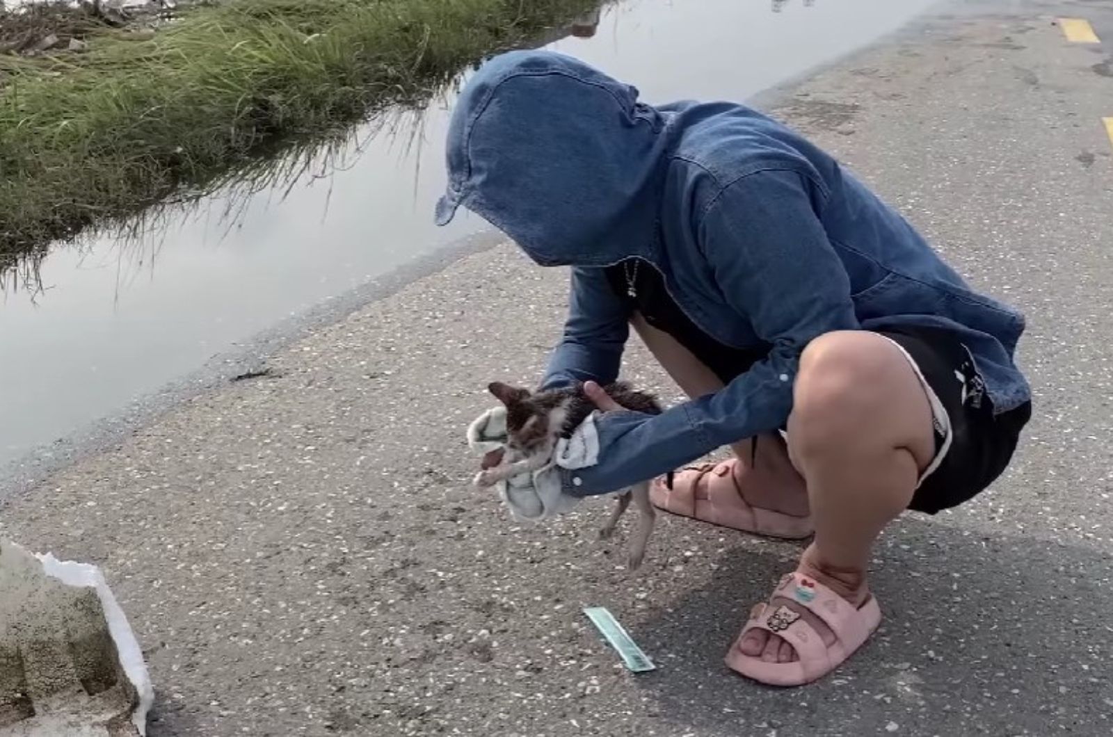 woman saving a kitten