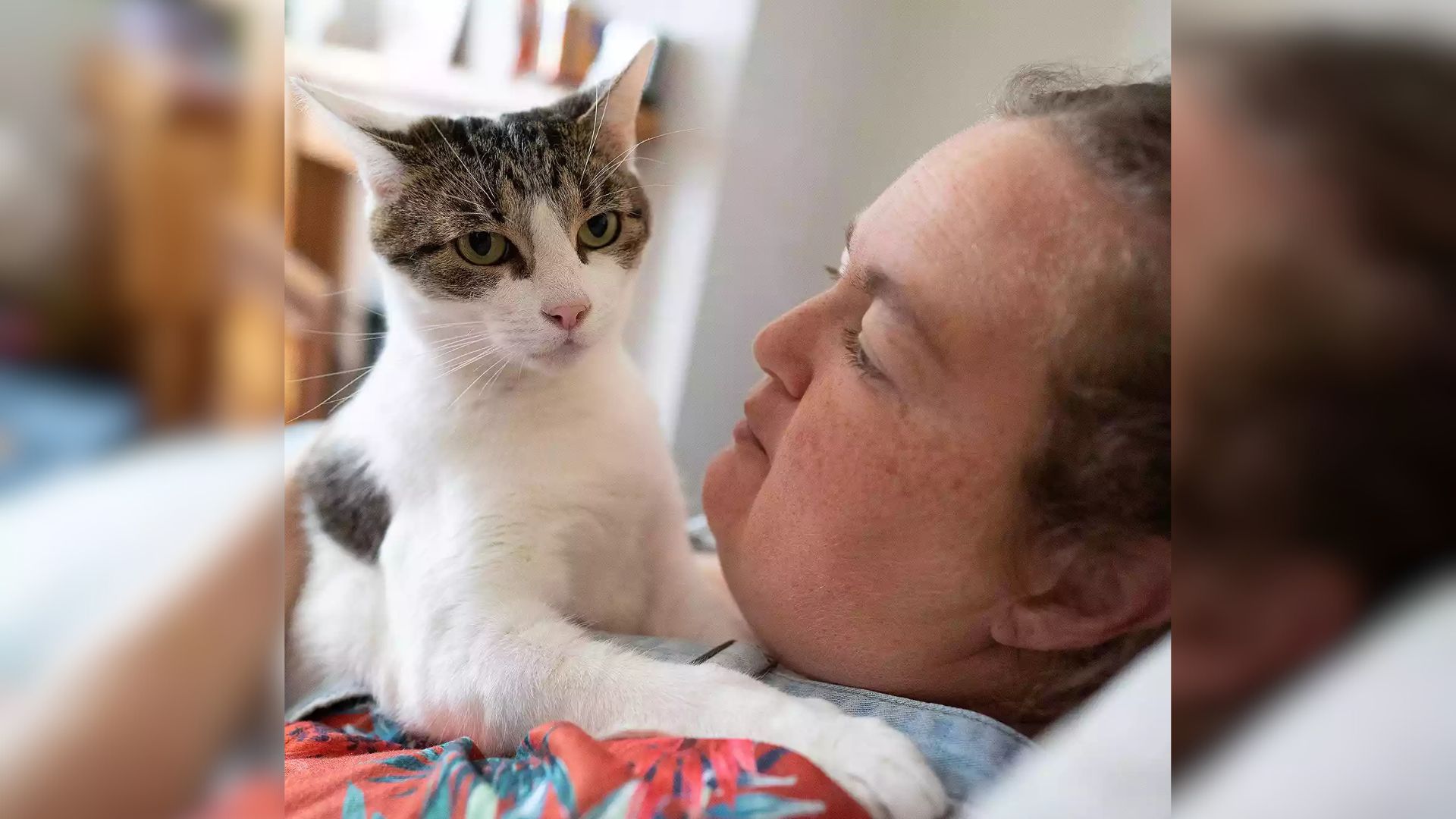 cat on woman's chest