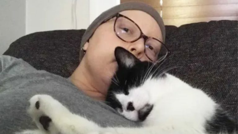 cat snuglled on womans chest