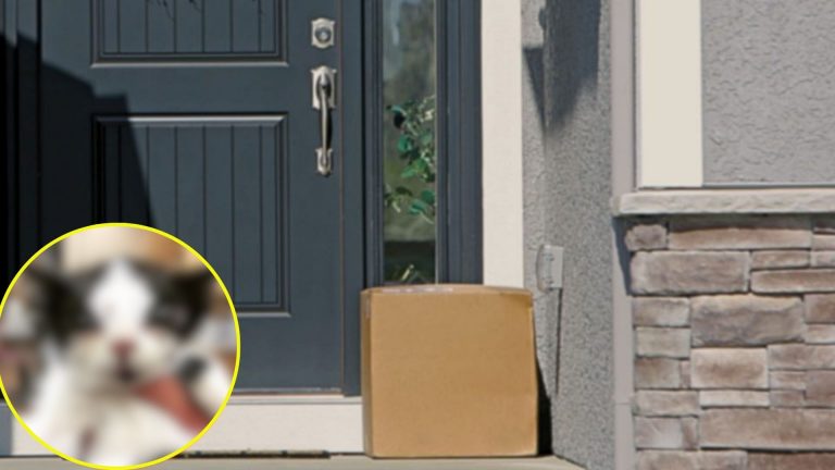 mysterious box on doorstep