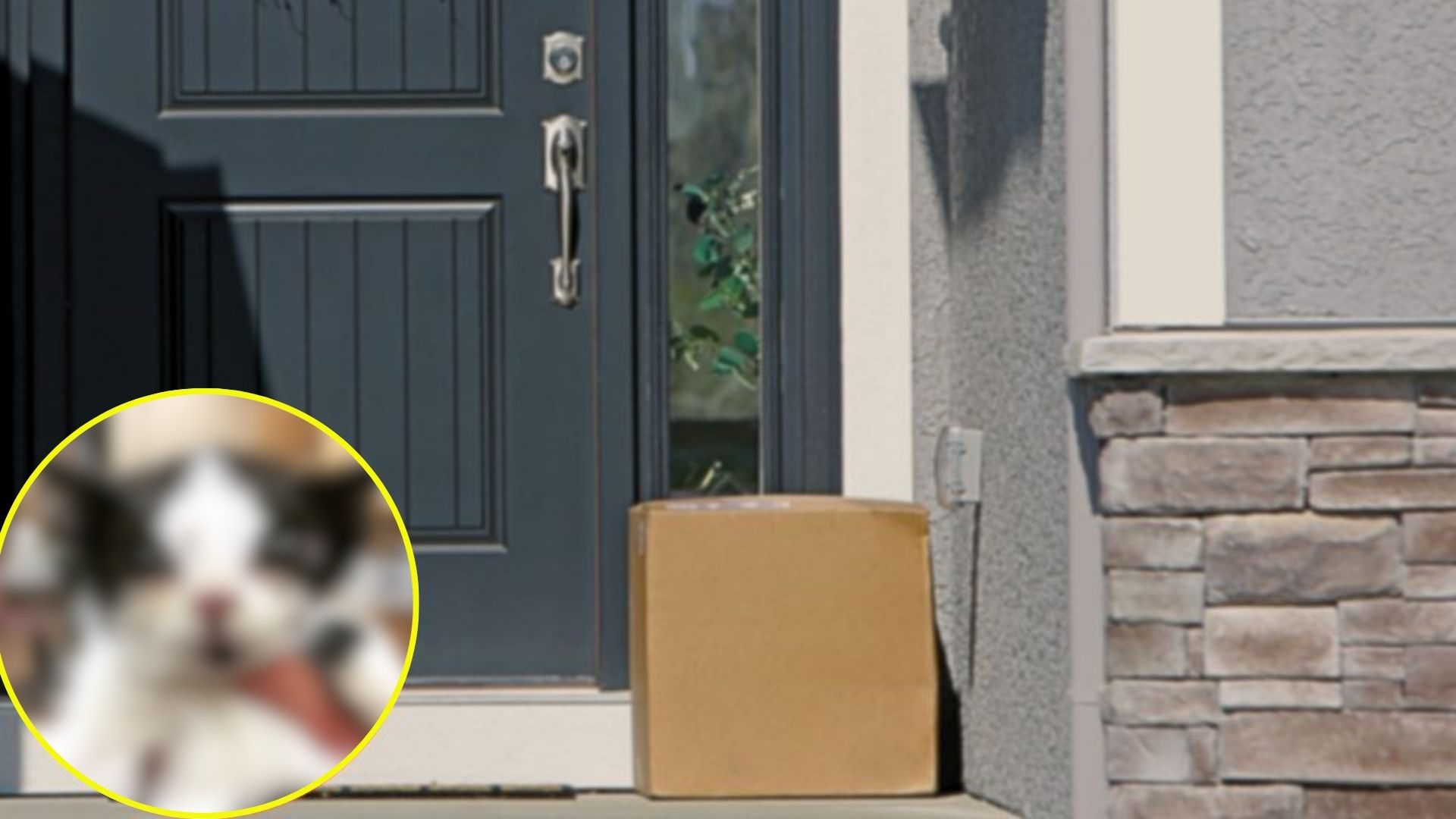 mysterious box on doorstep