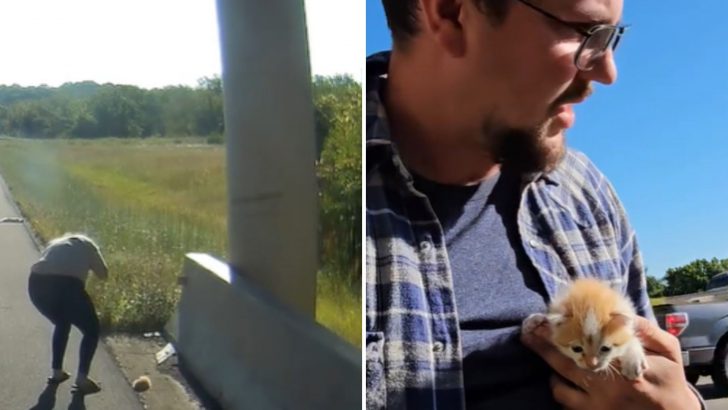 Couple Saves Tiny Kitten From A Highway, But The Heartbreaking Truth Behind It Will Move You To Tears