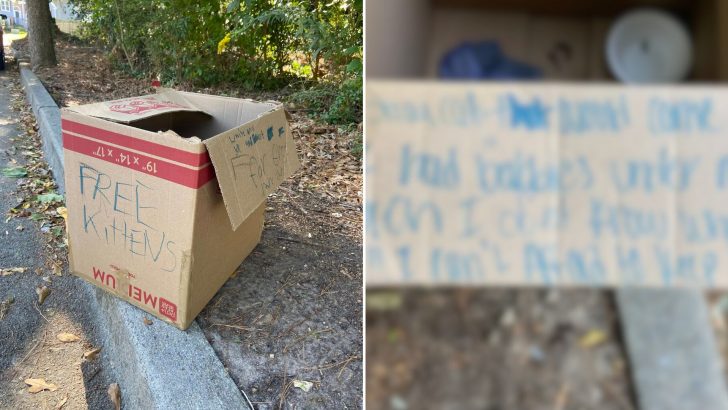 Family Stumbles Upon A Box With A Sign, Hoping It’s Not What They Think It Is