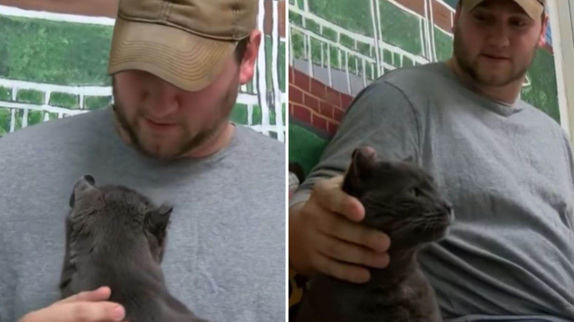 Former Marine Travels 2,000 Miles To Reunite With Long-Lost Cat In North Carolina