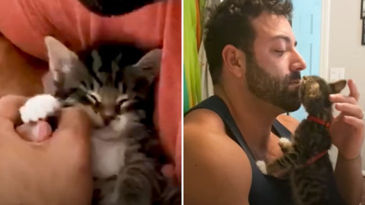 Man Finds A Phone-Sized Kitten In The Woods That Turns Him Into The Ultimate Cat Person