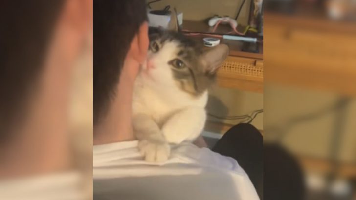 Man Reveals Why His New Cat Was Returned To Shelter And It’s Way Quirkier Than You’d Expect