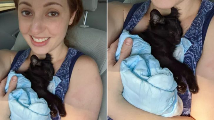 Skinny Black Kitten Covered In Fleas Found Abandoned In A Dumpster