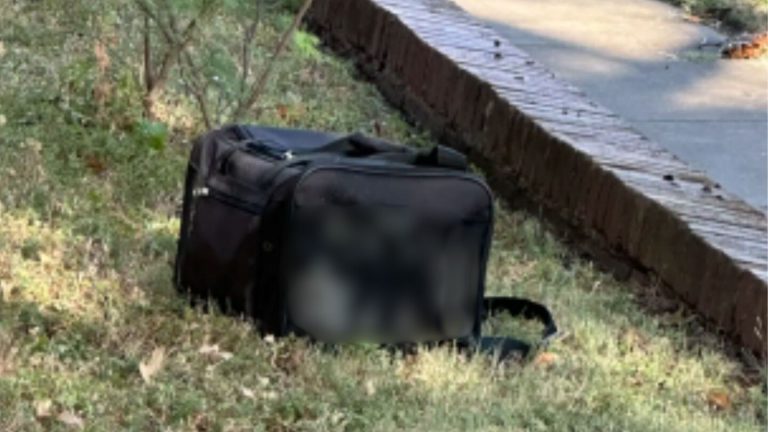 Texas Woman Notices A Mysterious Bag In Her Yard, Then Sees Tiny Faces Peeking From Inside