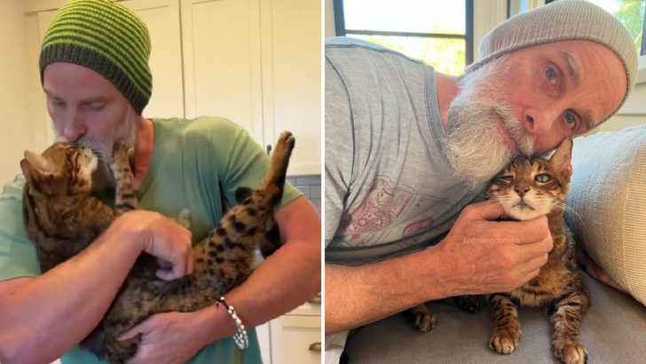 The Bond This Bengal Cat Shares With His Dad Will Melt Your Heart, Even After 20 Years