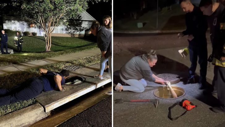 Virginia Teams Unite To Save Five Tiny Souls Stuck In A Storm Drain In The Middle Of The Night