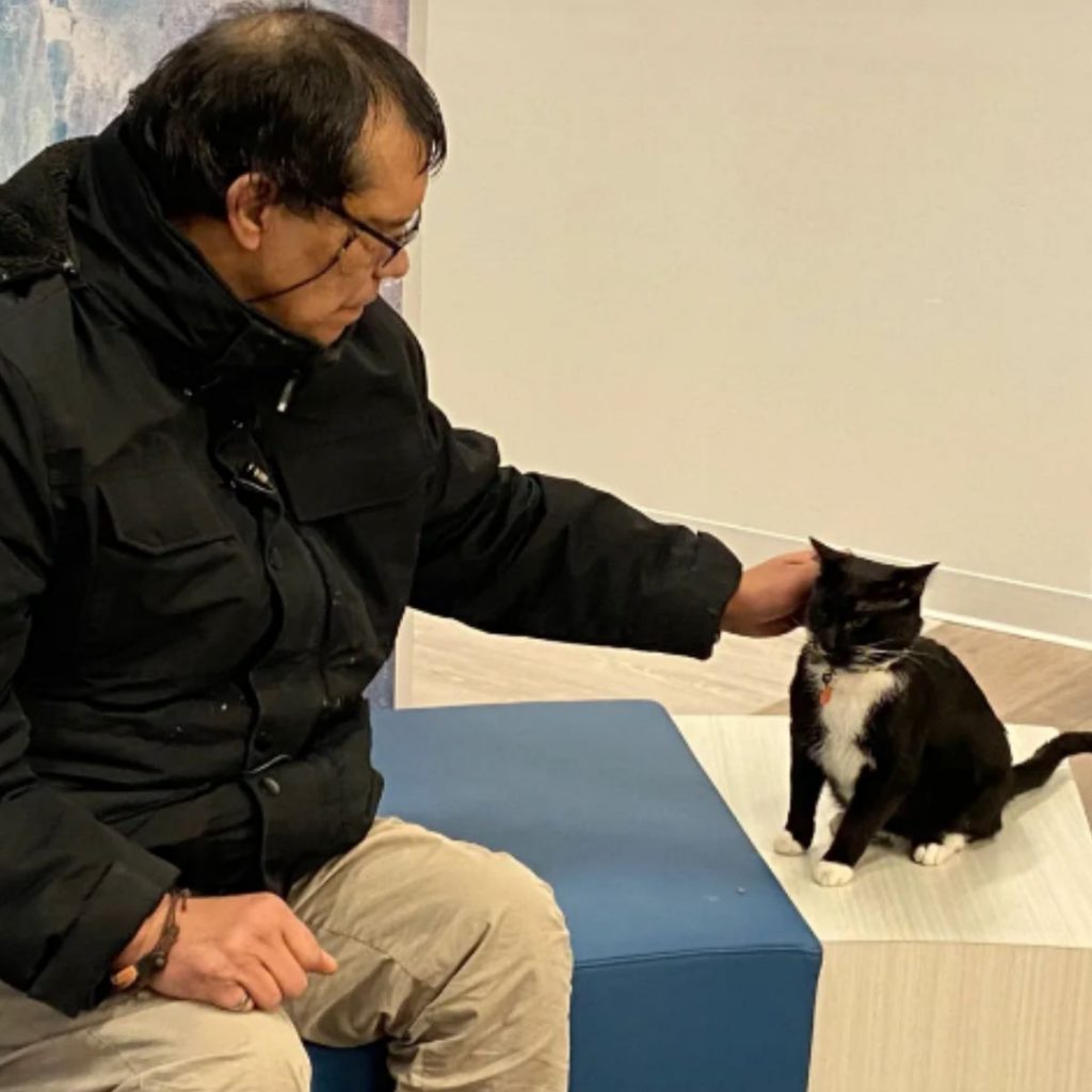 a black and white cat sits next to a man while he pet her