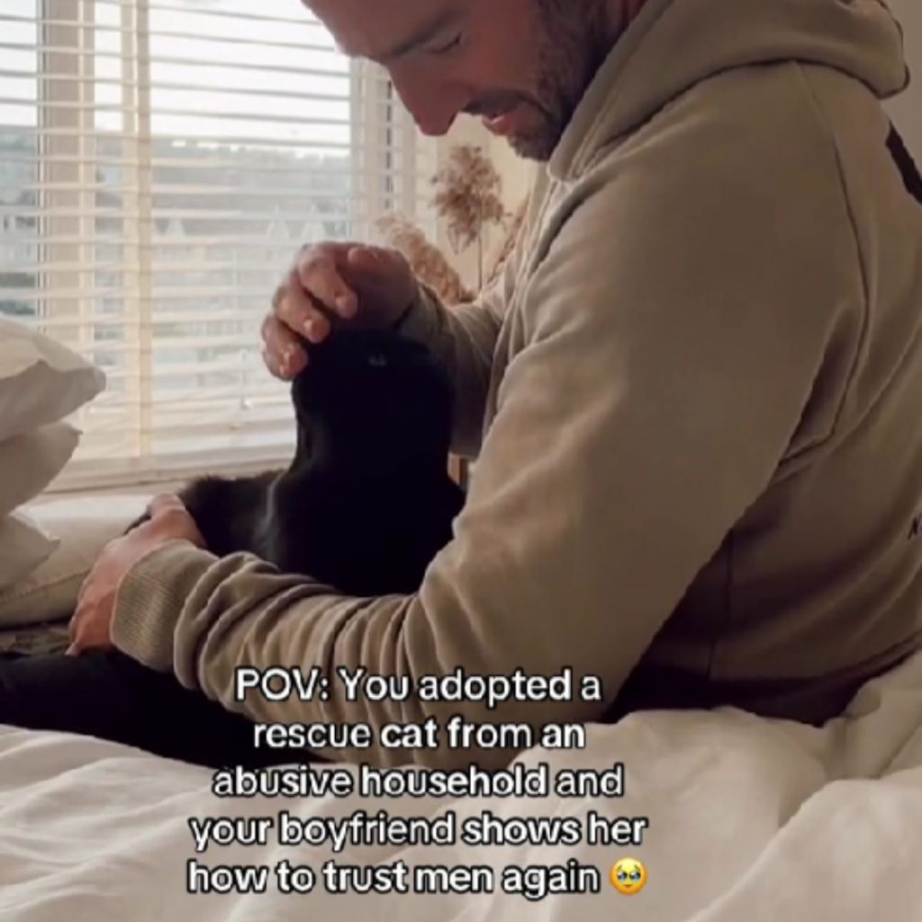 a black cat enjoys being petted by a man