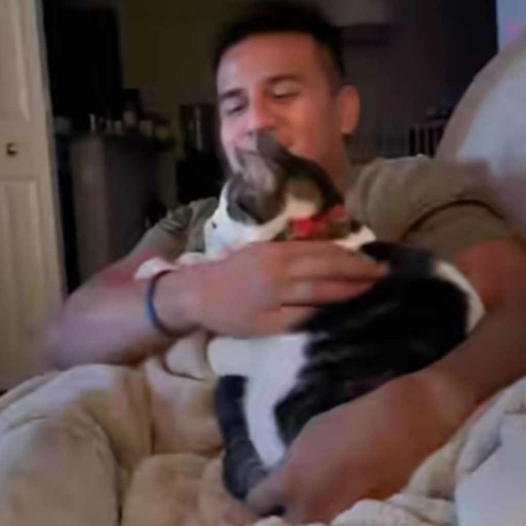 a cat enjoys a man's embrace