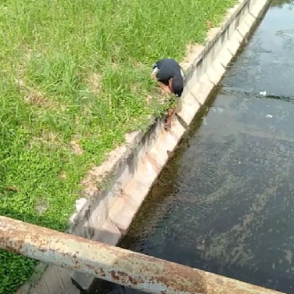 a disabled man pulls a kitten out of the river