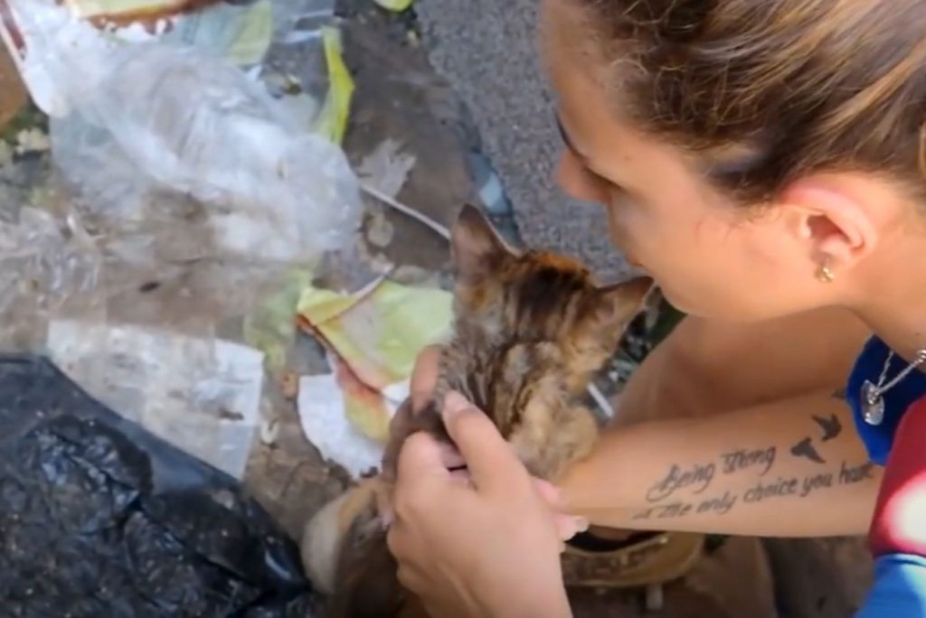 a girl finds a kitten in the trash