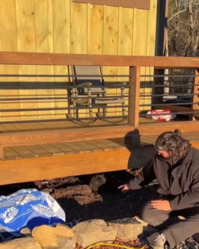 a man finds a cat under wooden beams