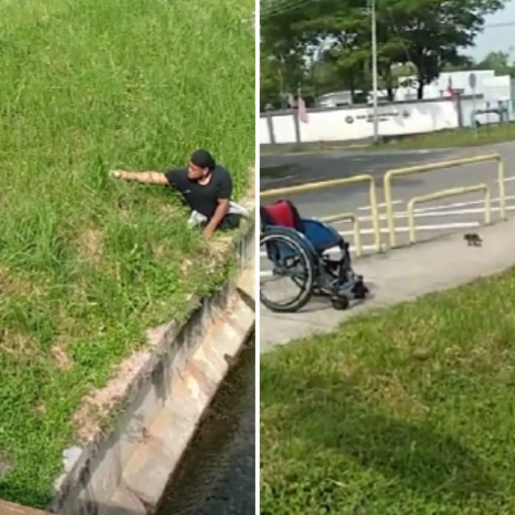 a man got out of a wheelchair to save a kitten