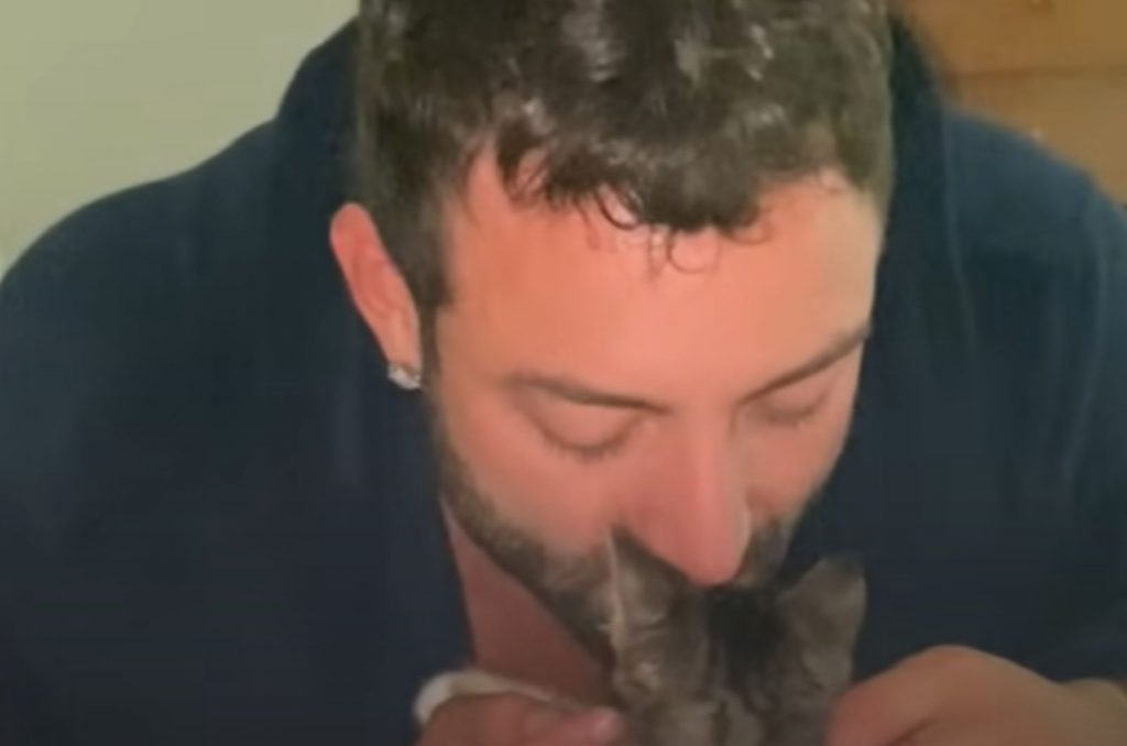 a man holds a kitten in his hands and kisses it