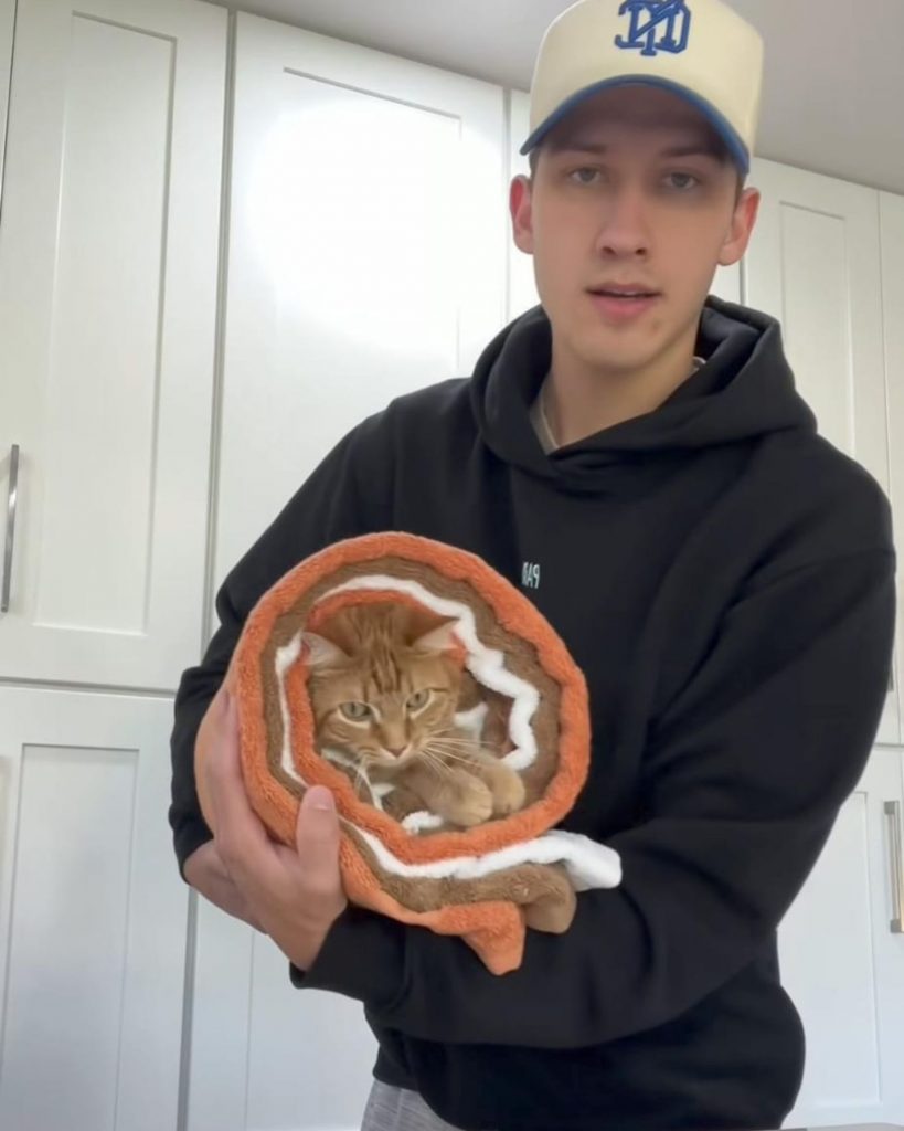 a man is holding a yellow cat wrapped in a blanket