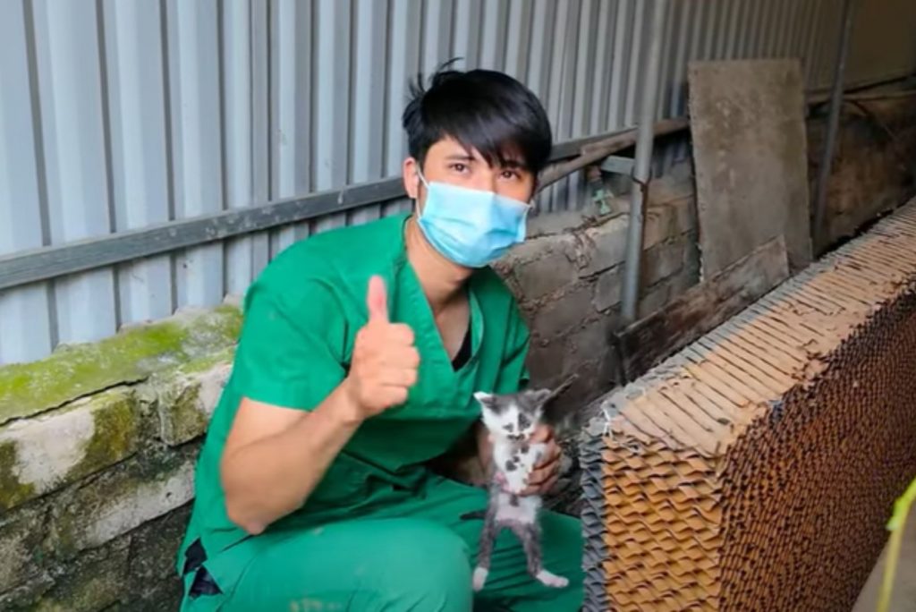 a man is holding an injured kitten in his hand