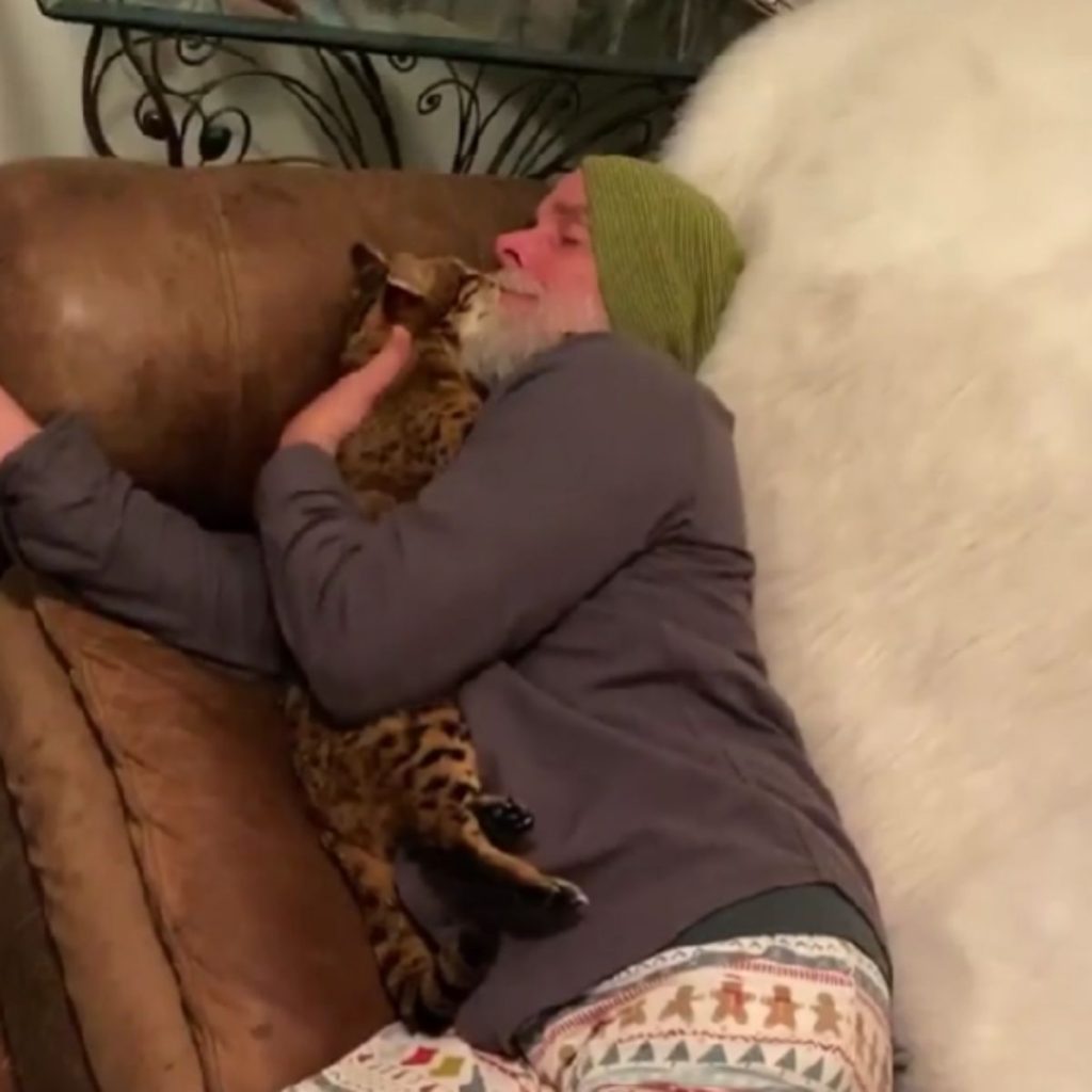 a man is lying on a couch hugging a cat