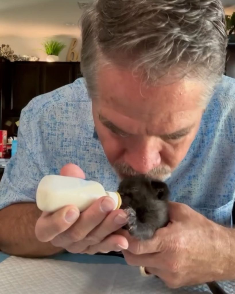 a man kisses a kitten while feeding it from a bottle