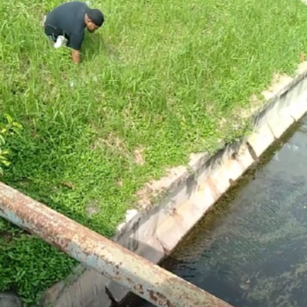 a man rescues a kitten by the river