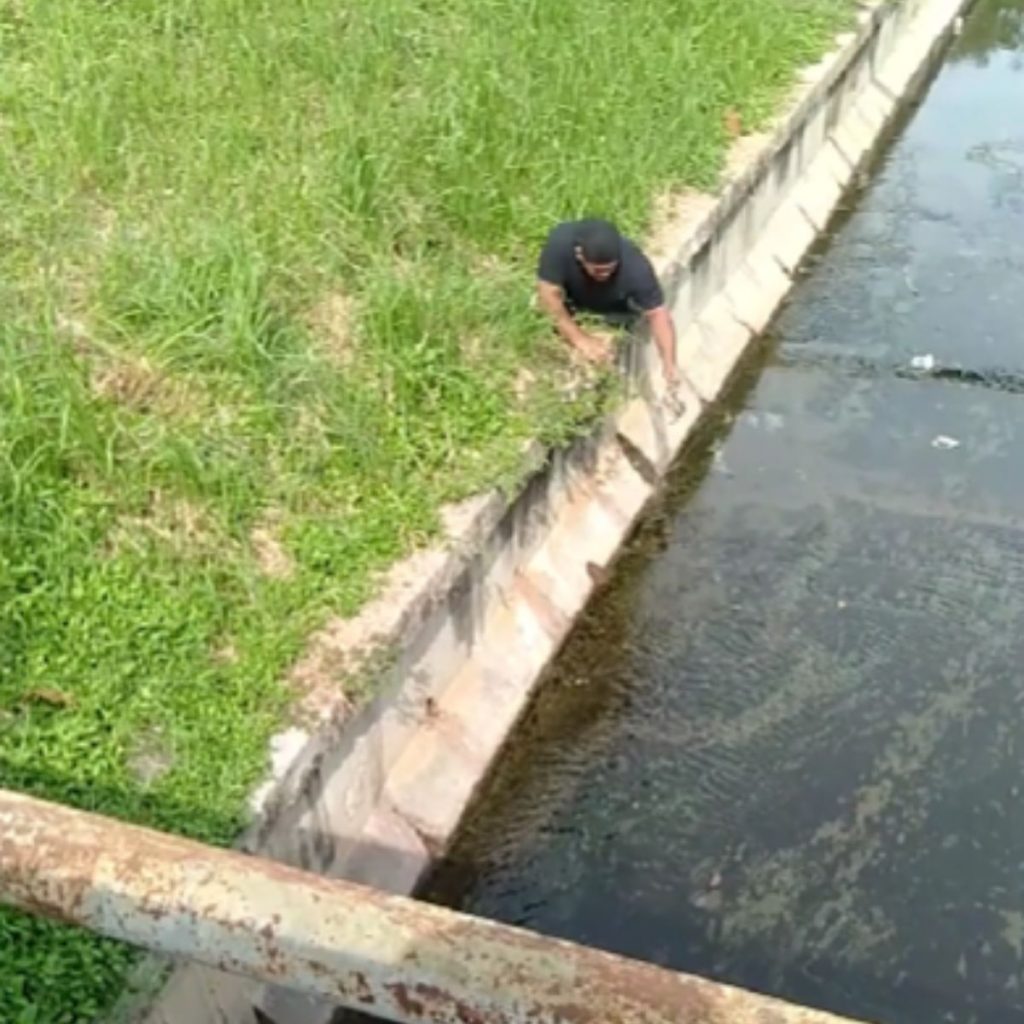 a man sits by the riverbed and saves a little kitten