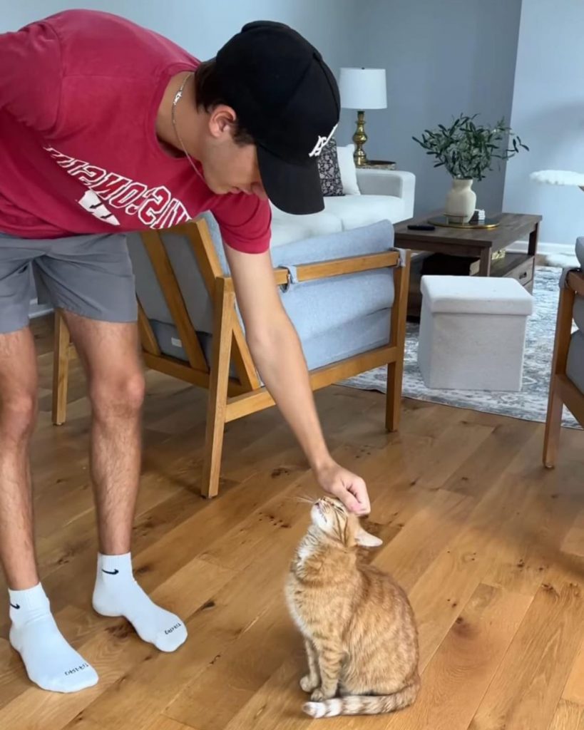 a man strokes a cat's head