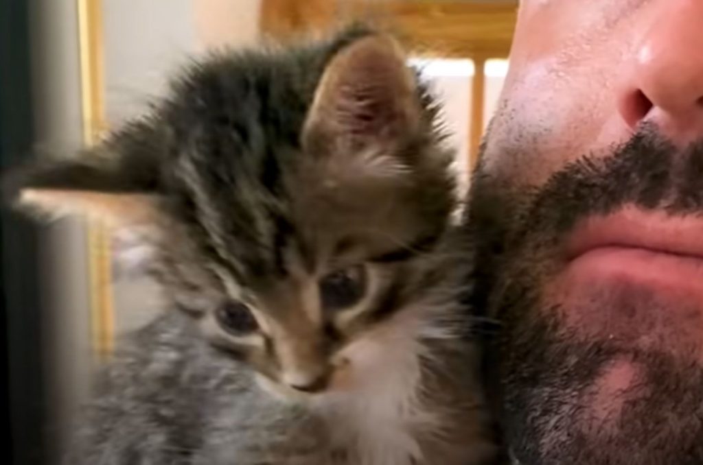 a man takes a picture with a kitten