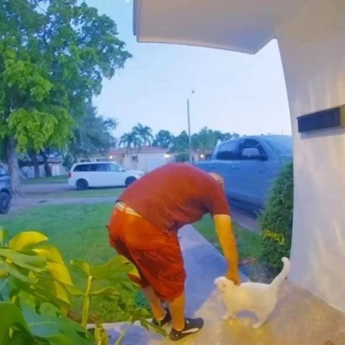 a man with cat in front of house