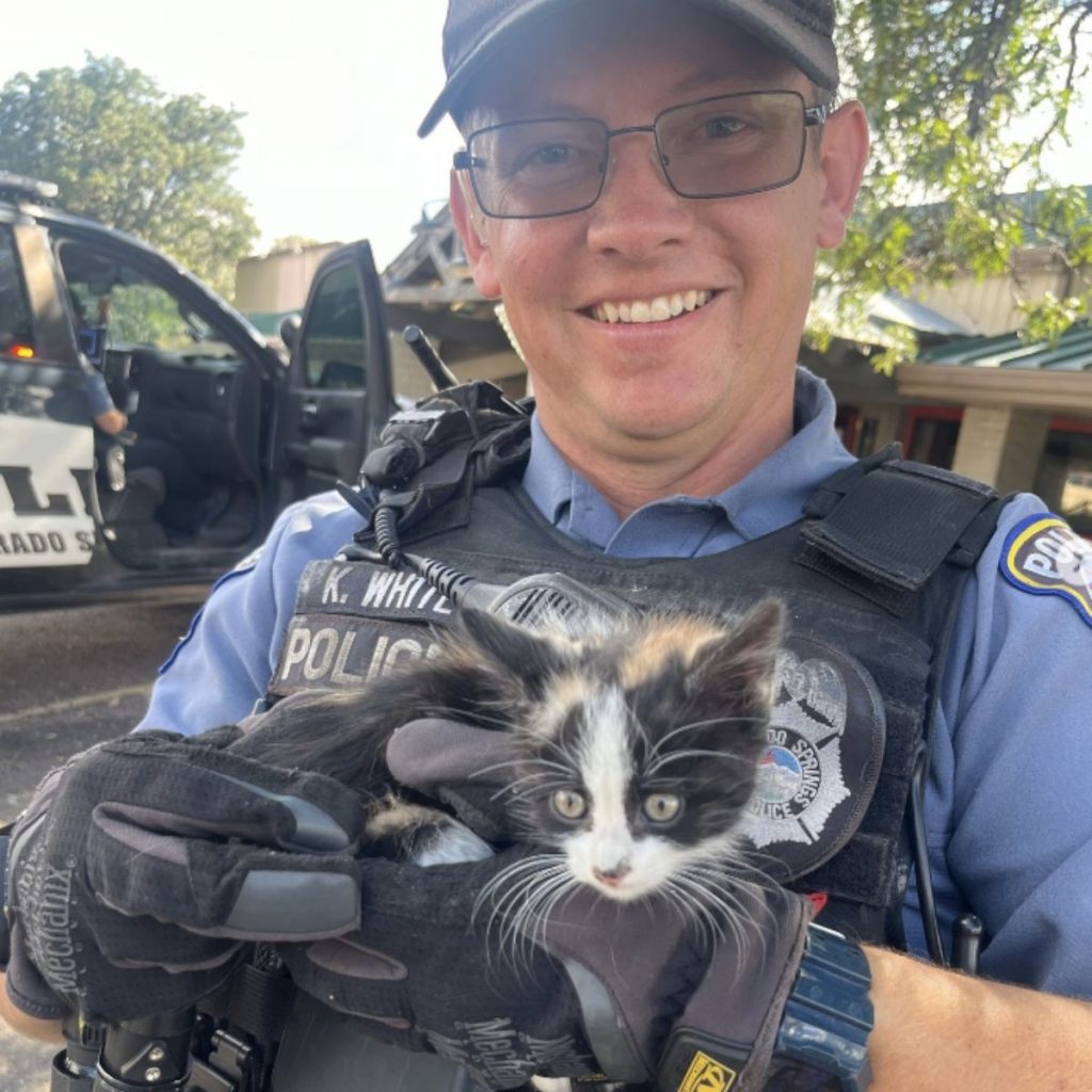 a smiling policeman holds a cat in his arms and poses for the camera