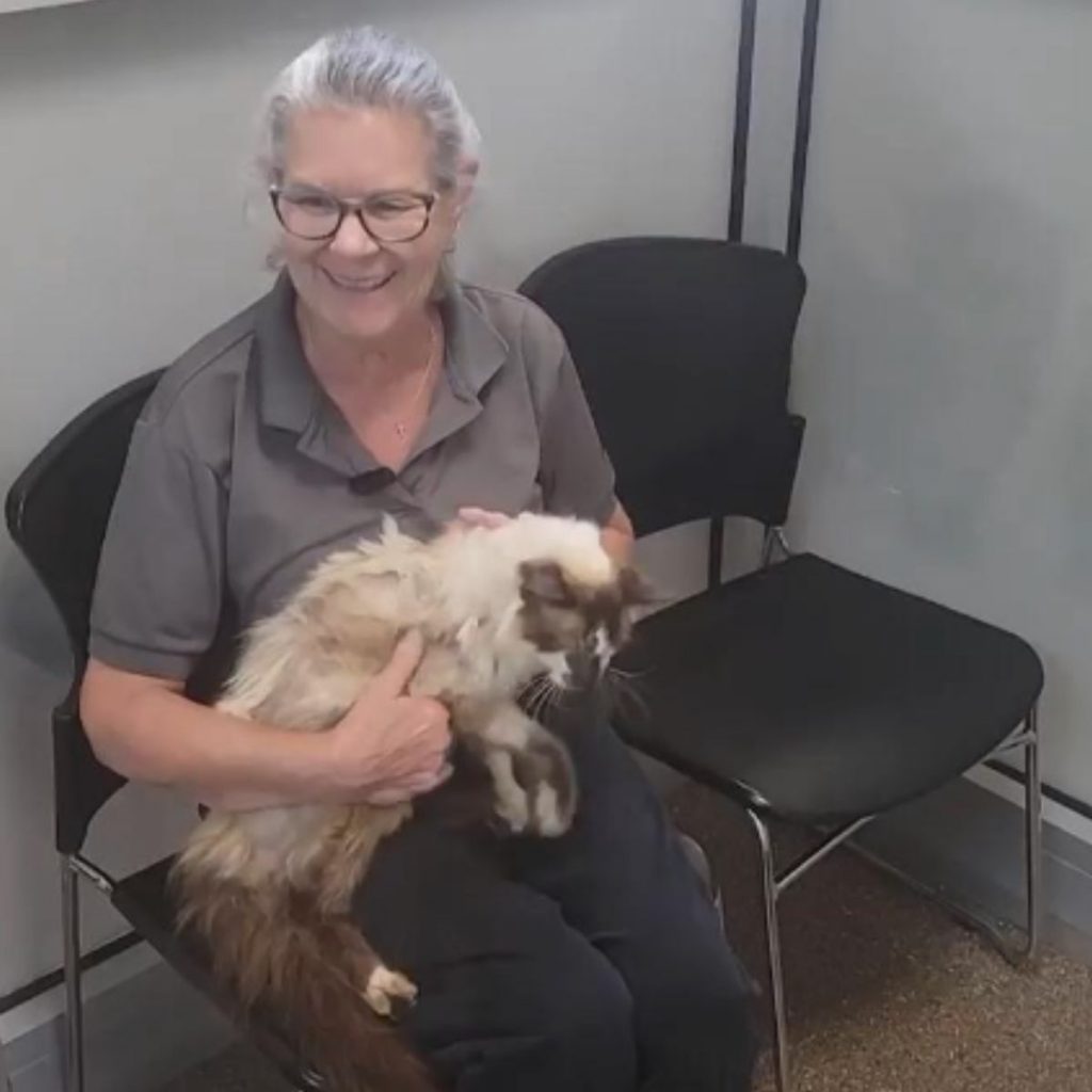 a smiling woman sits on a chair with a cat in her lap