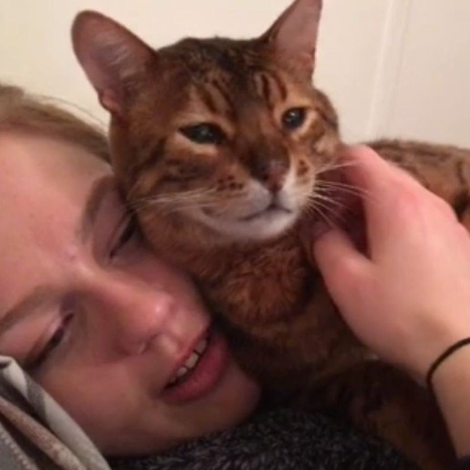 a woman and a bengal cat